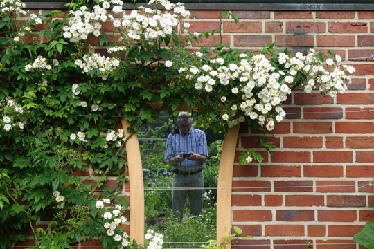 Spiegeleffekte im Garten